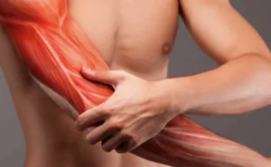 ANATOMIA PALPATORIA E TEST FUNZIONALI